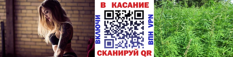 Цена Иннополис Псилоцибиновые грибы  COCAIN  СК  Мефедрон  Марихуана  Амфетамин 