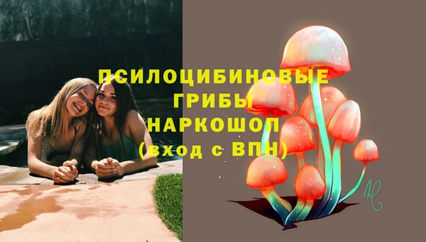 гашик Пестово