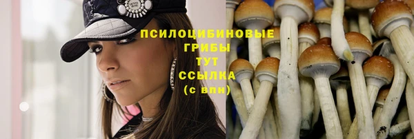 каннабис Осташков
