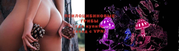 мяу мяу мука Переславль-Залесский