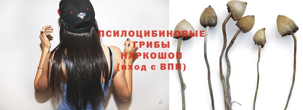 гашик Пестово
