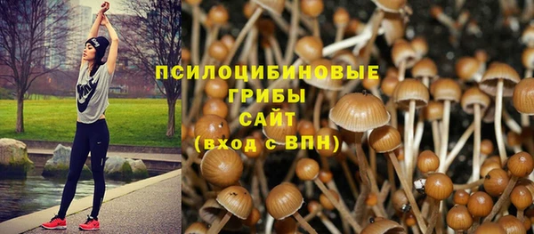 каннабис Осташков