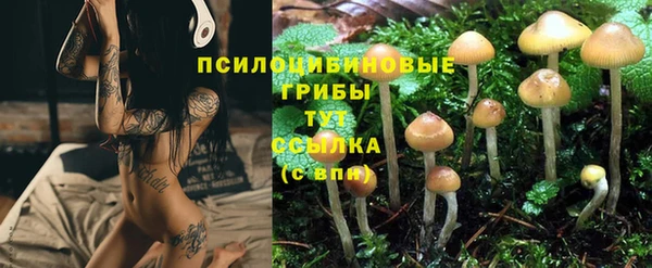 трава Воткинск