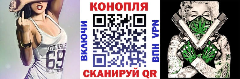 Шишки марихуана планчик  kraken   Иннополис 